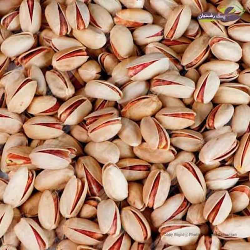 پسته اکبری مرغوب مناسب آجیل و فرآوری غذایی